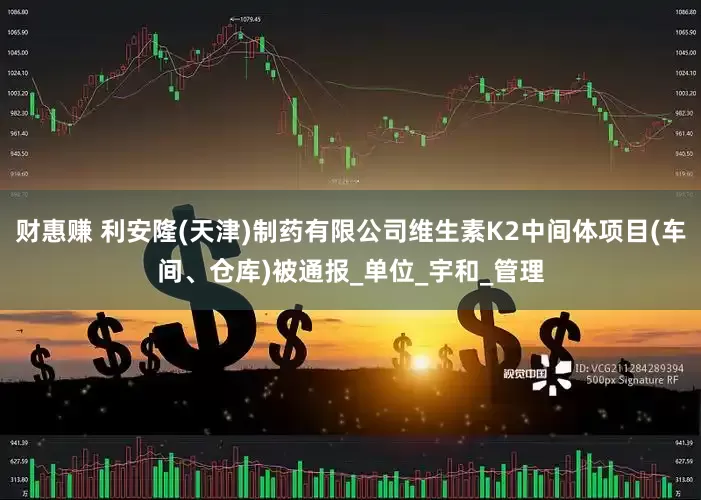 财惠赚 利安隆(天津)制药有限公司维生素K2中间体项目(车间、仓库)被通报_单位_宇和_管理
